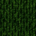 Southern Pine